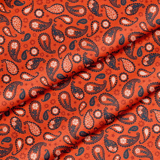 Bandana Paisley Farmhouse Summer Fabric by the Yard