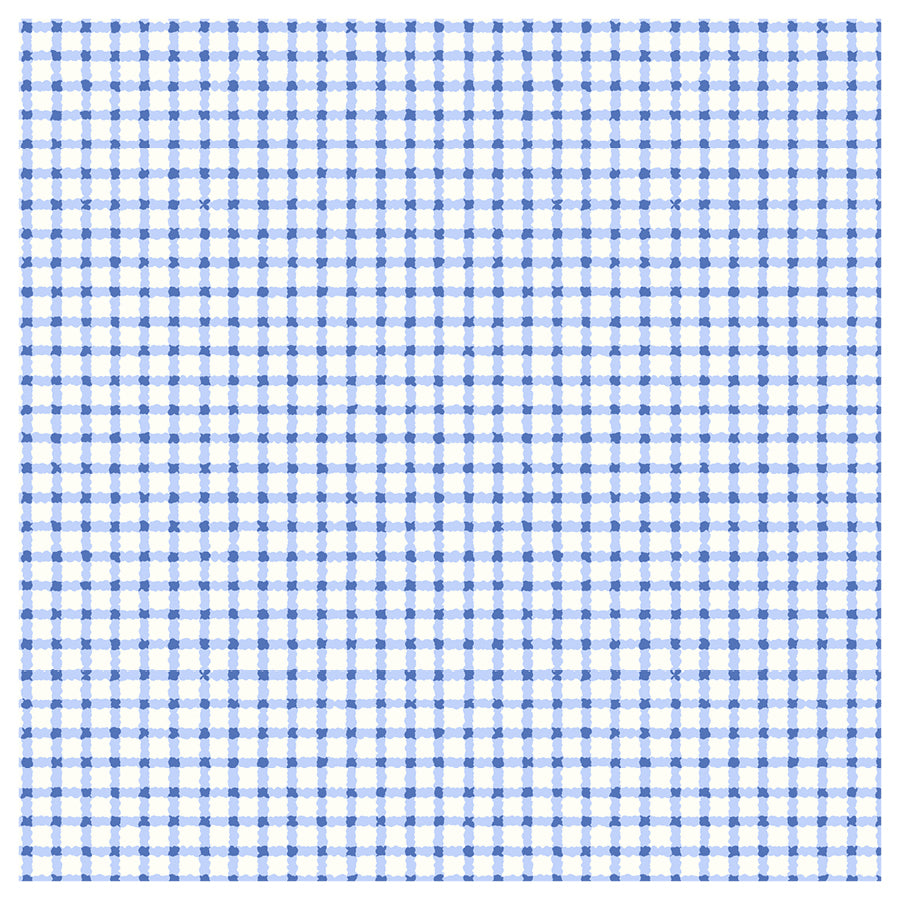 Blue and white checkered pattern