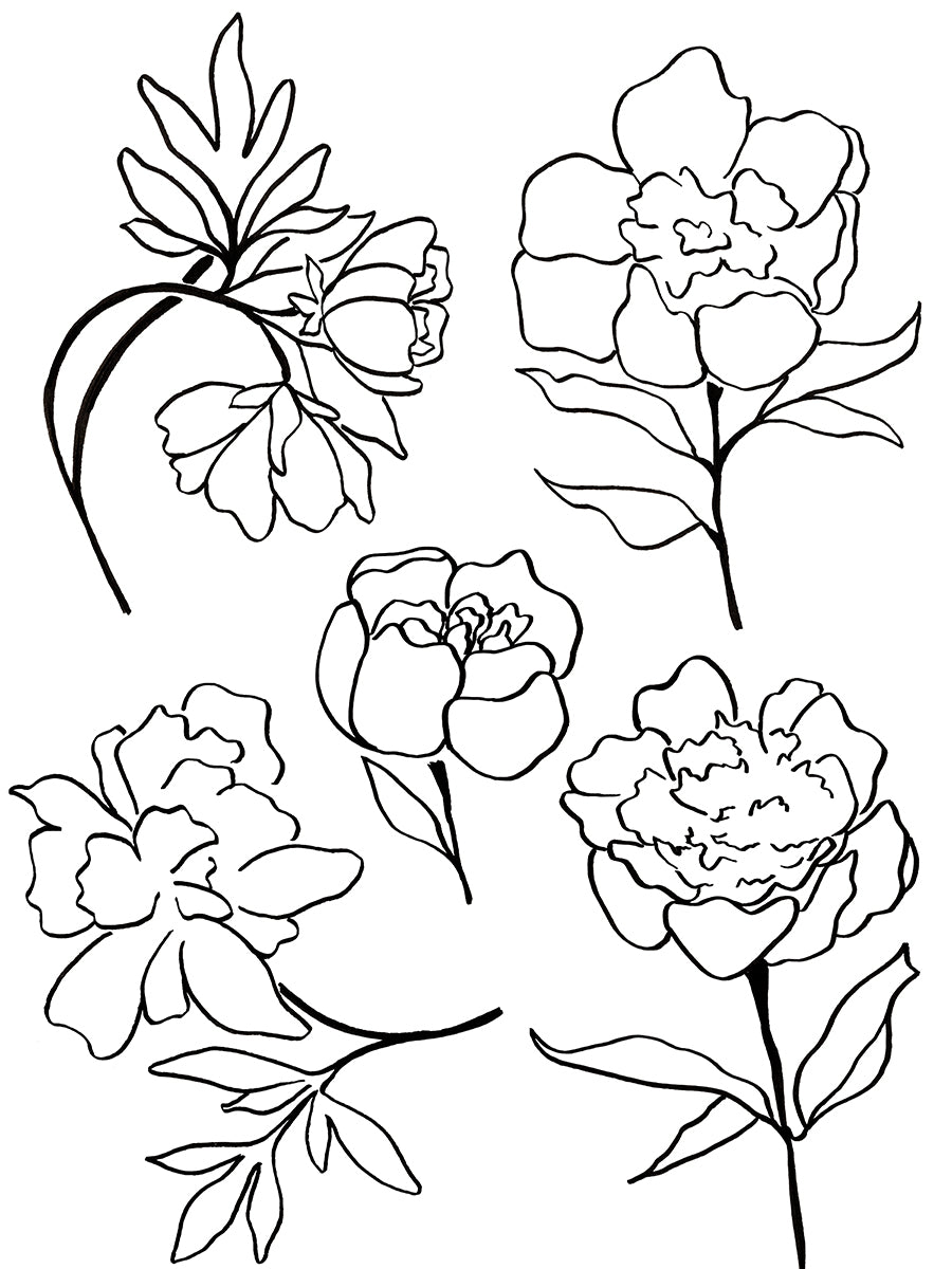 Black and white line art illustrations of five different peony views arranged on a plain white background.