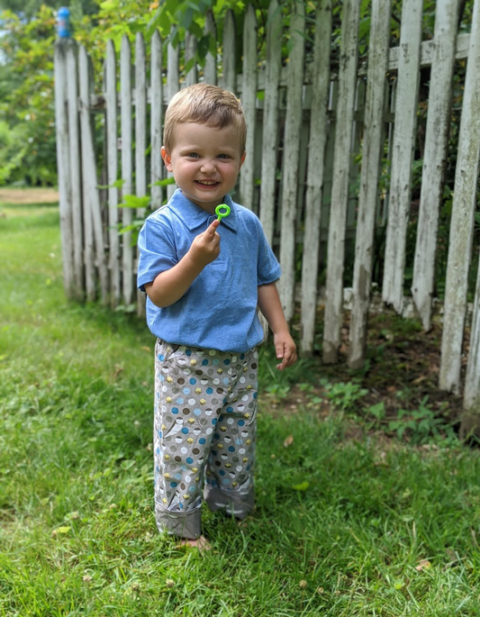 organic cotton reversible pants in barn swallow and shroom, charley harper - little girl Pearl